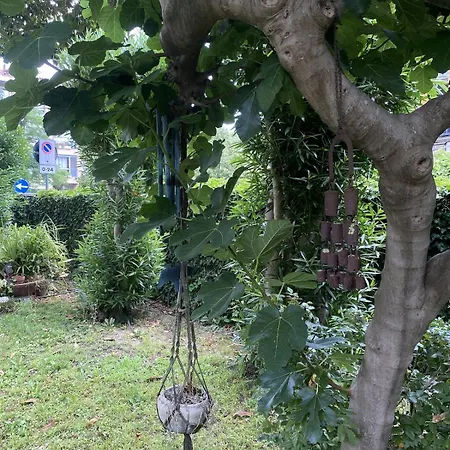 Con Giardino Privato E Vista Laguna *